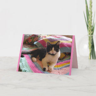 Tuxedokatt Söt Sovande på Virkad Matt cats Kort