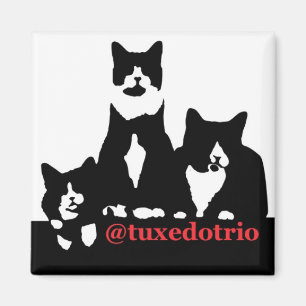 TuxedoTrio magnet