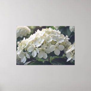 *~* TV2 Mjukt Hydrangea Stretched Kanvastryck