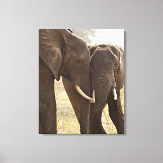 Två afrikanska Bush Elephants (Loxodonta Africana) Canvastryck