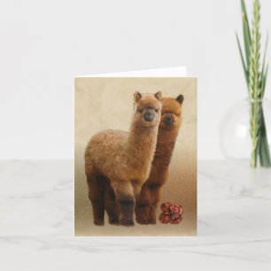 Två Alpacas anteckningskort