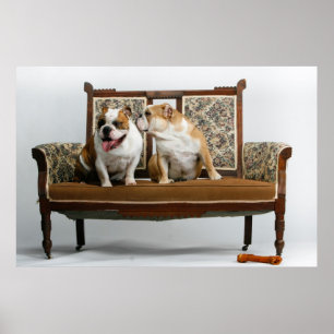 Två älska bulldoggar poster