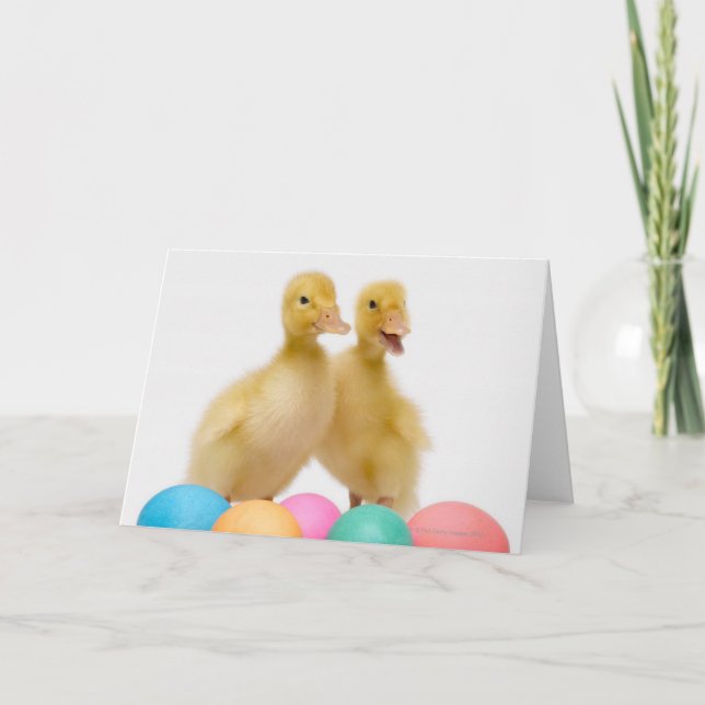 Två ankor med påskägg helgkort (Framsida)