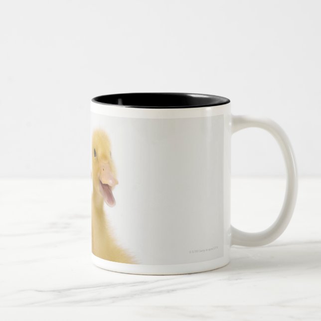 Två ankor med påskägg Två-Tonad mugg (Höger)