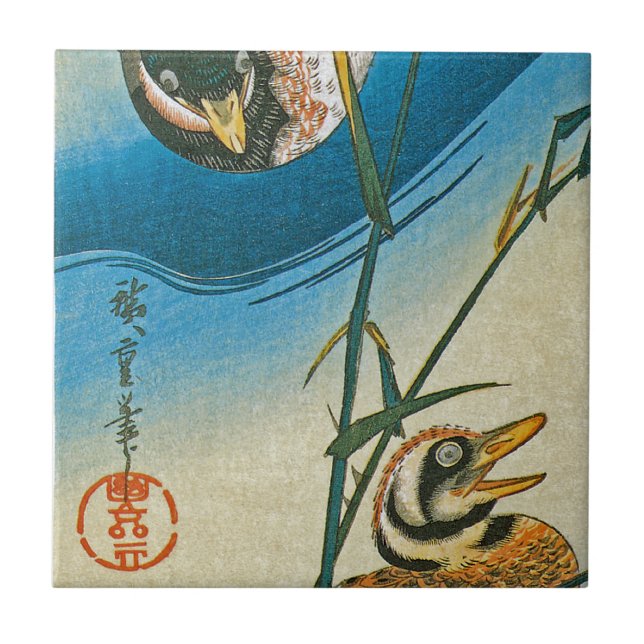 Två Ankor som simmar mellan raser Kakelplatta (Framsidan)