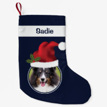 Två Anpassningsbars fotomallar med tomtakter på bl