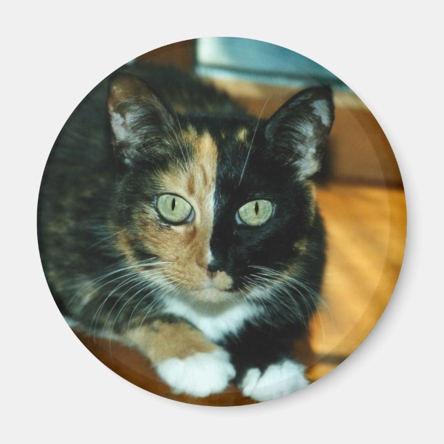 Två ansikten magnet (Framsidan)