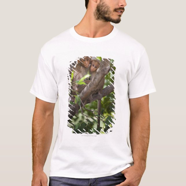 Två apor i ett träd tee (Framsida)