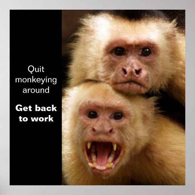 Två apor Motivational Poster (Framsidan)