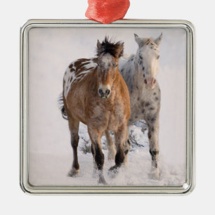 Två appaloosas Horse Ornament