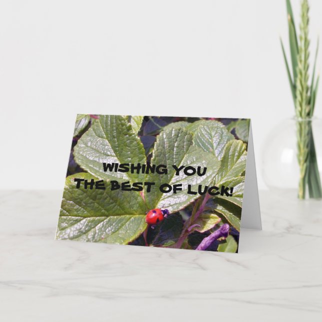 Två år gammalt nyckelpigahälsningkort kort (Framsida)