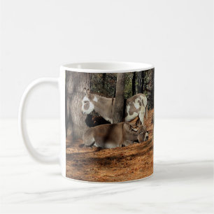 Två åsnor kaffemugg