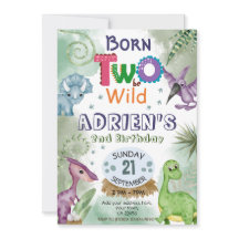 TVÅ att bli VILD Dinosaur Theme Födelsedagsfest In