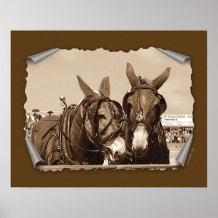 Två av en typ poster