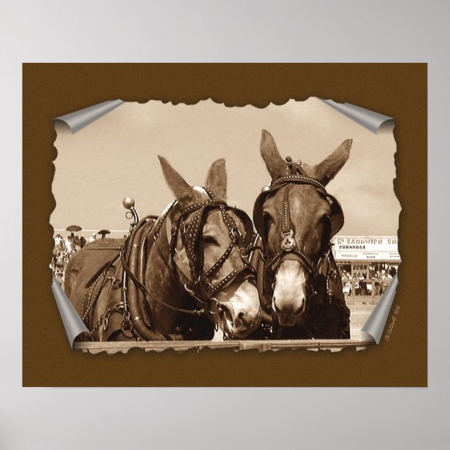 Två av en typ poster (Framsidan)