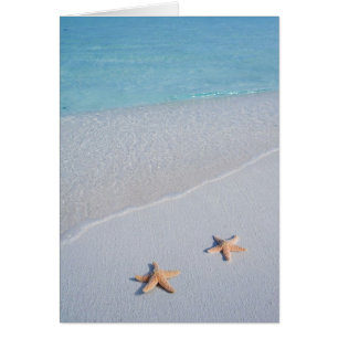 Två av oss Oceanen Kärlek Starfish Hälsningskort