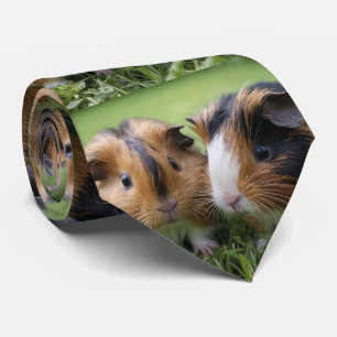 Två Baby Tortoishell Guinea Grisar, Slips