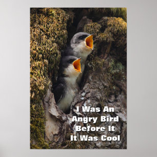Två Baby Träd Sväljer Poster