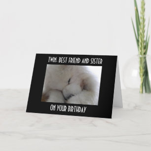 TVÅ, BÄSTA VÄNNEN OCH SISTER PÅ DIN BIRTHDAG KÄRLE KORT