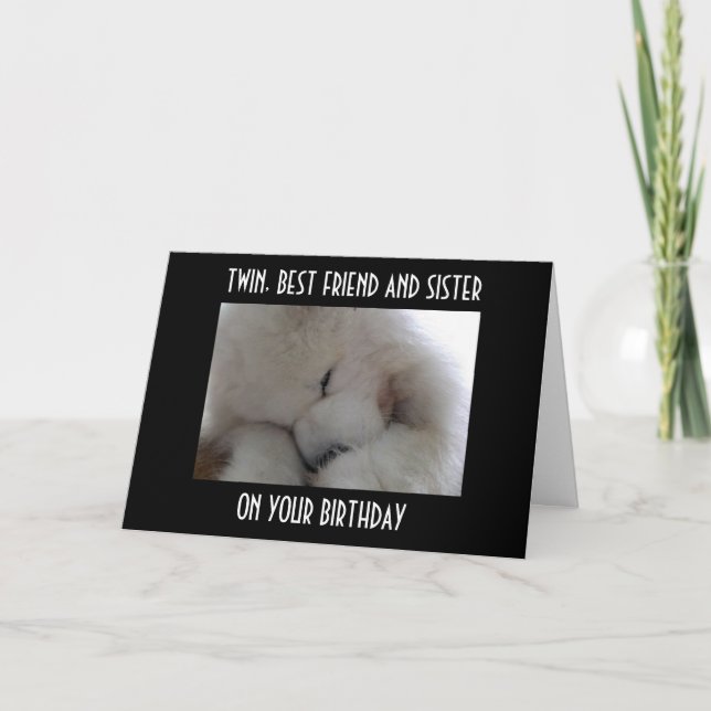 TVÅ, BÄSTA VÄNNEN OCH SISTER PÅ DIN BIRTHDAG KÄRLE KORT (Framsida)