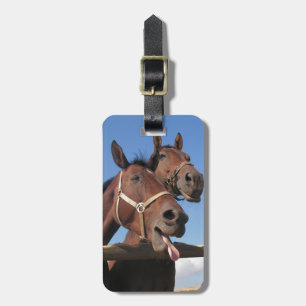 Två Bay Horses, Horse Stick ut Tunga Bagagebricka
