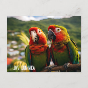 TVÅ BEAUTIFULLA DELAR FRÅN DOMINICA VYKORT
