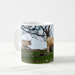 Två besådda höglandskon i fredliga Land-landskap. Kaffemugg