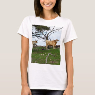 Två besådda höglandskon i fredliga Land-landskap. T Shirt