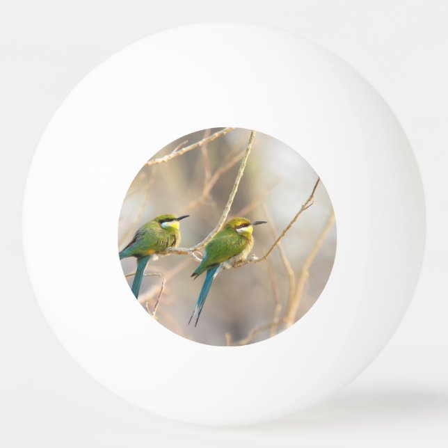Två biätare pingisboll (Baksidan)