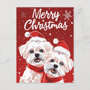 Två Bichon Frise God Jul Vykort