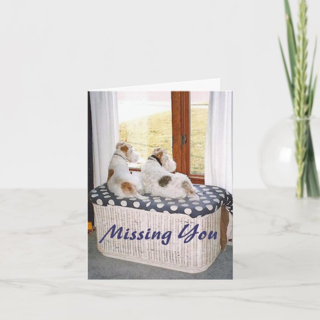 Två binder foxterrier i fönstret kort (Framsida)