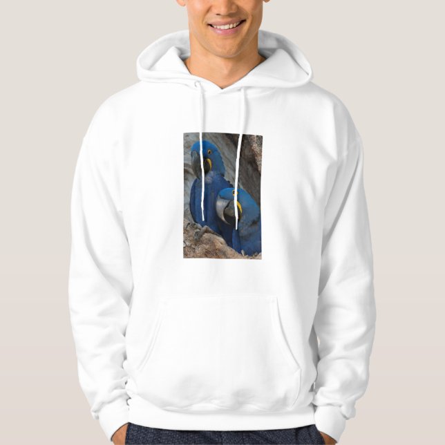 Två Blå Araor, Brasilien Sweatshirt (Framsida)