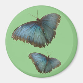 Två blå morfo Butterflies Cust. BG Färg Magnet