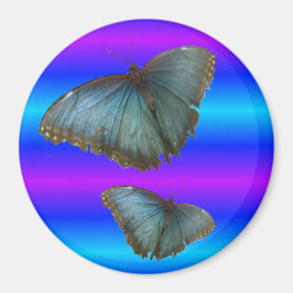 Två blå morpho Butterflies Blue Neon Magnet