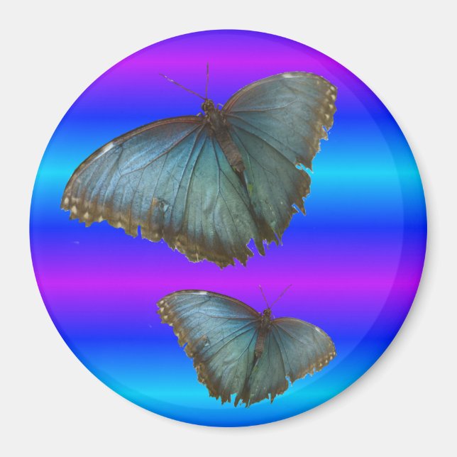 Två blå morpho Butterflies Blue Neon Magnet (Framsidan)