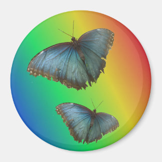Två blå morpho Butterflies Rainbow Magnet