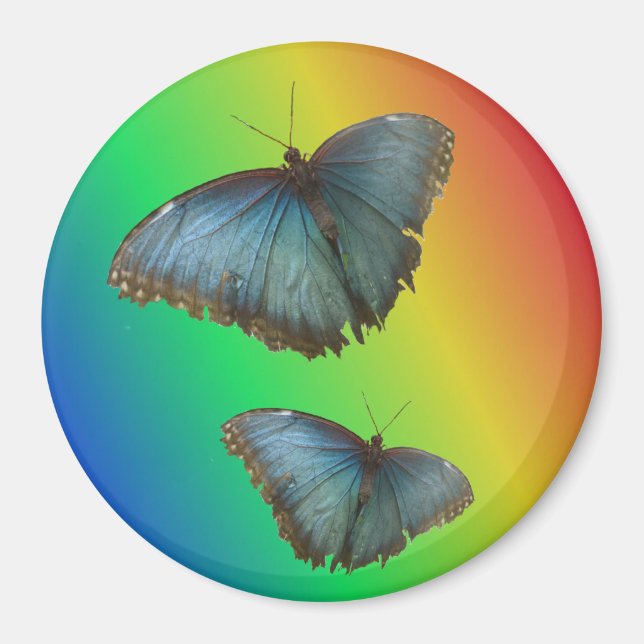 Två blå morpho Butterflies Rainbow Magnet (Framsidan)