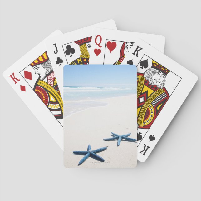 Två blå stjärnfiskar i vatten kant på tropiska casinokort (Baksidan)