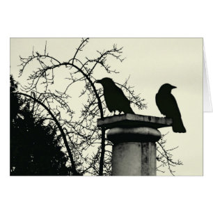 Två Blackbird 5x7-kort Hälsningskort