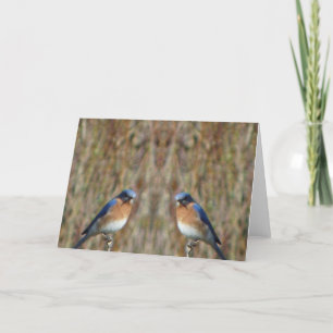 "Två bluebirds med ängel ", Kort