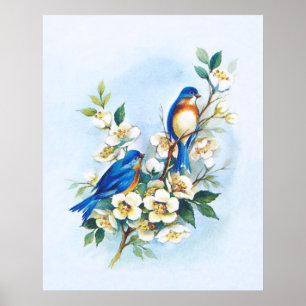 Två bluebirds poster