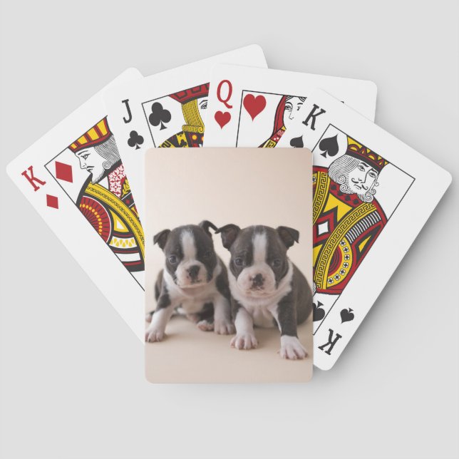 Två Boston Terrier-dockor Spelkort (Baksidan)