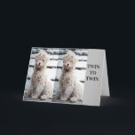 **TVÅ BRODER ELLER TVÅ SISTER** BIRTHDAG KORT<br><div class="desc">**ULTIMATE TWIN BIRTHDAY KÄRLEK** FÖR DIN TWIN OCH HÖGER NU ÄR DETTA ETT AV MIN "ALL TIME FAVORITE" SOM JAG HAR GJORT UNDER ALLA "ÅR" SOM JAG HAR HAFT I FANTASTISK-LAGRET!!!!!!!!! HOPPAS ATT DU VILL HA DET OCH KOMMER IHÅG ATT DU KAN ÄNDRA VERSEN INSIDE DEN HÄR FÖR ATT SÄKRA:)...</div>