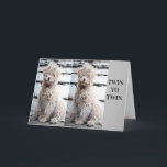 **TVÅ BRODER ELLER TVÅ SISTER** BIRTHDAG KORT<br><div class="desc">**ULTIMATE TWIN BIRTHDAY KÄRLEK** FÖR DIN TWIN OCH HÖGER NU ÄR DETTA ETT AV MIN "ALL TIME FAVORITE" SOM JAG HAR GJORT UNDER ALLA "ÅR" SOM JAG HAR HAFT I FANTASTISK-LAGRET!!!!!!!!! HOPPAS ATT DU VILL HA DET OCH KOMMER IHÅG ATT DU KAN ÄNDRA VERSEN INSIDE DEN HÄR FÖR ATT SÄKRA:)...</div>
