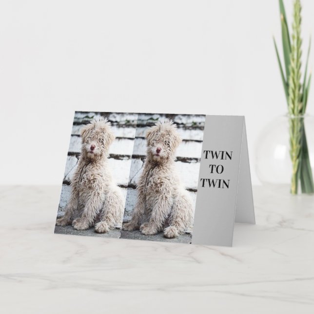 **TVÅ BRODER ELLER TVÅ SISTER** BIRTHDAG KORT (Framsida)