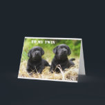 **TVÅ BRODER ELLER TVÅ SISTER** BIRTHDAKORT KORT<br><div class="desc">**ULTIMATE TWIN BIRTHDAY KÄRLEK** FÖR DIN TWIN OCH HÖGER NU ÄR DETTA ETT AV MIN "ALL TIME FAVORITE" SOM JAG HAR GJORT UNDER ALLA "ÅR" SOM JAG HAR HAFT I FANTASTISK-LAGRET!!!!!!!!! HOPPAS ATT DU VILL HA DET OCH KOMMER IHÅG ATT DU KAN ÄNDRA VERSEN INSIDE DEN HÄR FÖR ATT SÄKRA:)...</div>