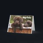 **TVÅ BRODER ELLER TVÅ SISTER** BIRTHDAKORT KORT<br><div class="desc">**ULTIMATE TWIN BIRTHDAY KÄRLEK** FÖR DIN TWIN OCH HÖGER NU ÄR DETTA ETT AV MIN "ALL TIME FAVORITE" SOM JAG HAR GJORT UNDER ALLA "ÅR" SOM JAG HAR HAFT I FANTASTISK-LAGRET!!!!!!!!! HOPPAS ATT DU VILL HA DET OCH KOMMER IHÅG ATT DU KAN ÄNDRA VERSEN INSIDE DEN HÄR FÖR ATT SÄKRA:)...</div>