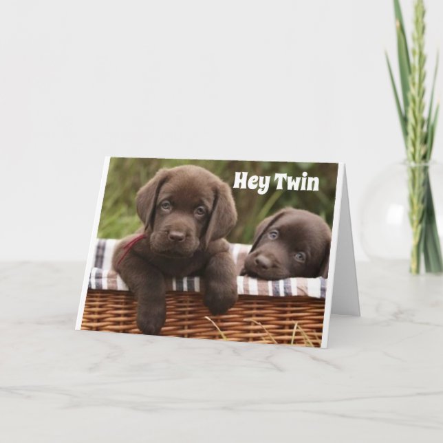 **TVÅ BRODER ELLER TVÅ SISTER** BIRTHDAKORT KORT (Framsida)