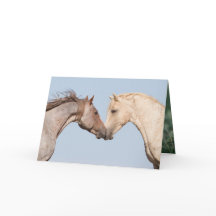 Två bröder Möte - Vild Horse Greeting Card