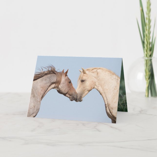 Två bröder Möte - Vild Horse Greeting Card Kort (Framsida)
